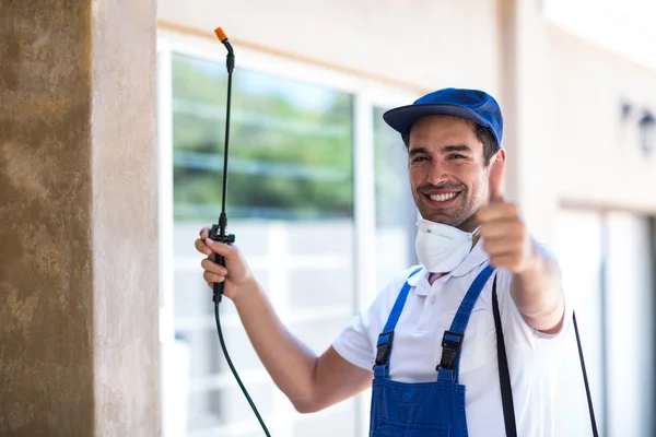 Lakewood Wasp Removal