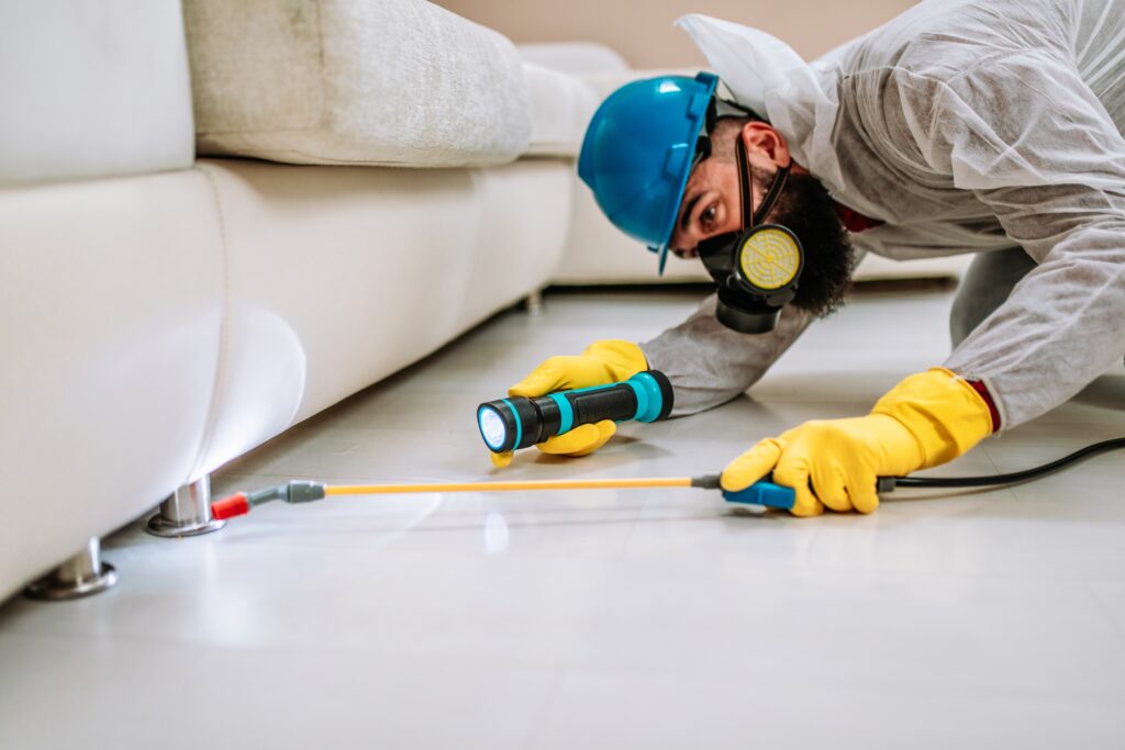 Lakewood Termite Control